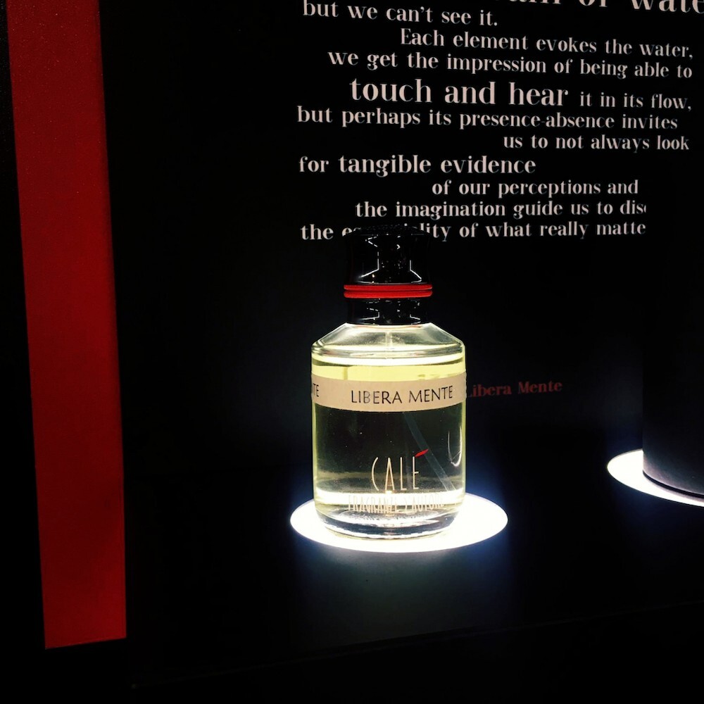 Фото: редакция Aromo WhatsApp Image 2019-04-25 at 15.jpg