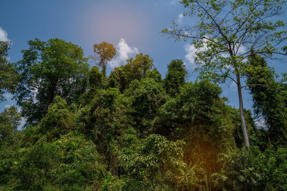 Depositphotos_254182178_l-2015.jpg