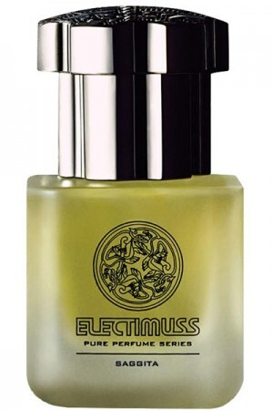 Saggita Electimuss.jpg