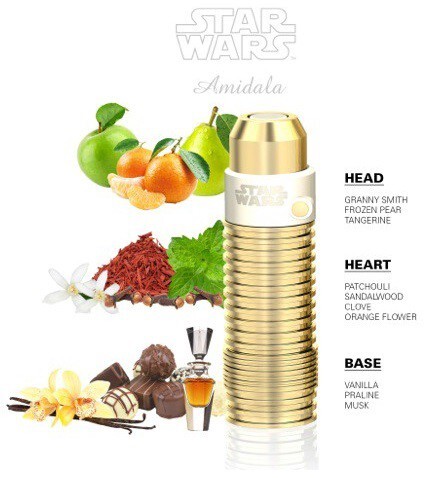 1_Star Wars_Amidala Woman.jpg