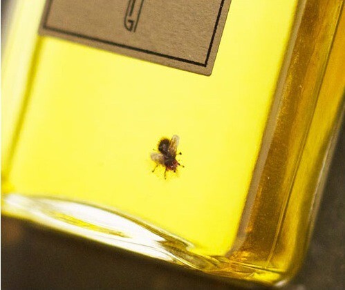 Naomi Goodsir Parfums1.jpg