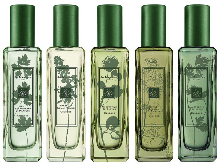 Jo Malone_line.jpg Jo Malone_line.jpg