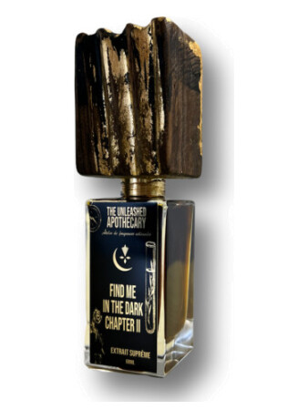 The Unleashed Apothecary Find Me In The Dark Chapter II