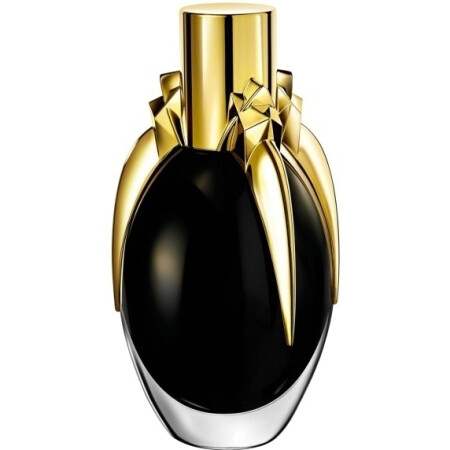 Lady Gaga Fame