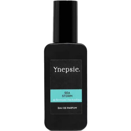 Ynepsie. Sea Storm