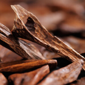 Gritti анонсировали Florian: современный взгляд на классический удовый аромат