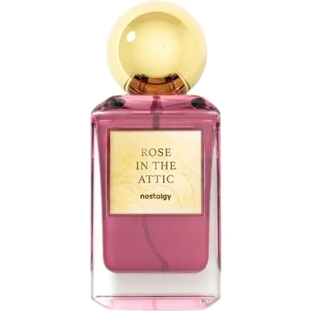 Nostalgy Rose in the Attic
