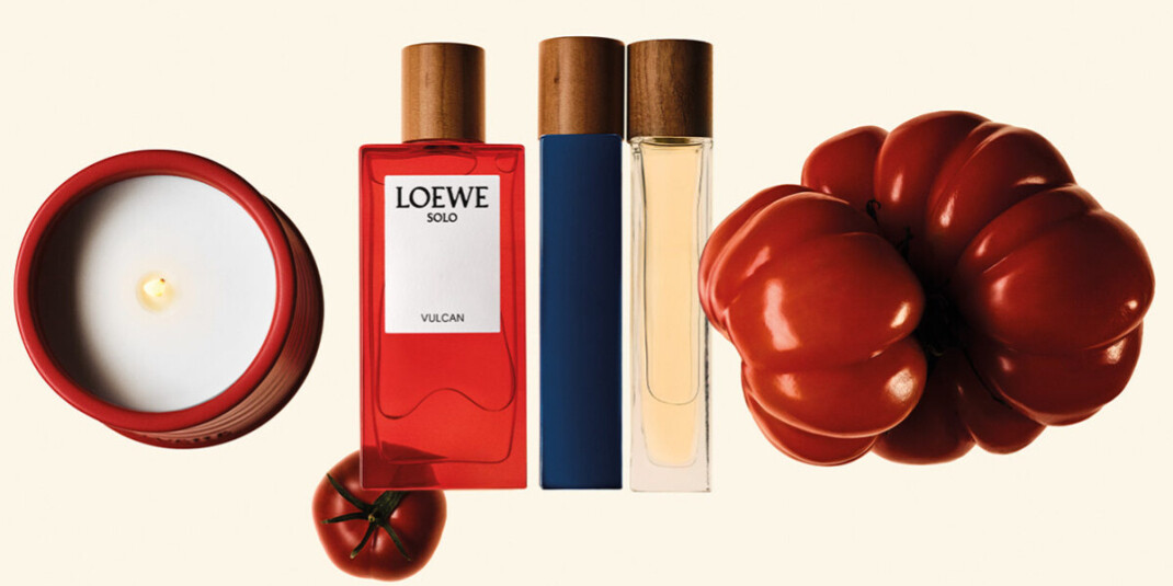 Loewe поддерживают испанский фонд Todolí Citrus Fundació