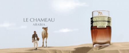 arabia pour homme le chameau