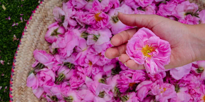 Анжелина Лепорини составила новый аромат Ta'if для лондонского нишевого бренда Gallivant