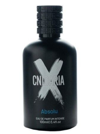 Samam Cnidaria X Absolu