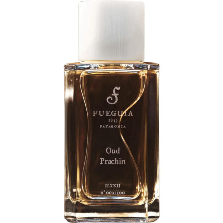 Fueguia 1833 Oud Prachin