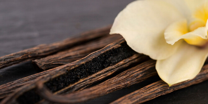 D.S. & Durga исследуют гурманский жанр в новом Deep Dark Vanilla