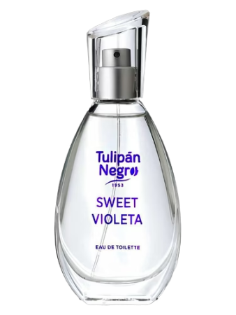 Tulipan Negro Sweet Violeta