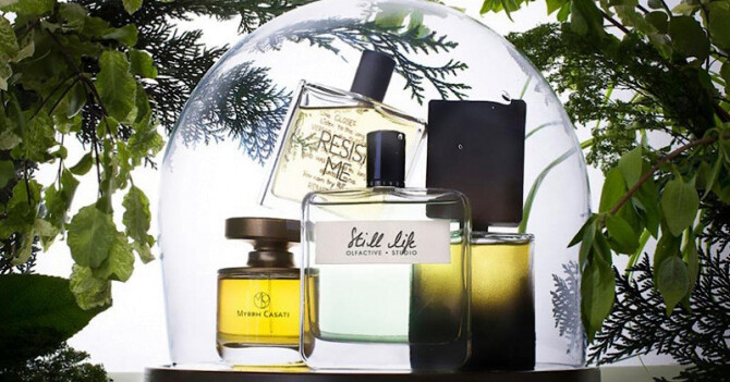 Cosmotheca возвращается в Санкт-Петербург!