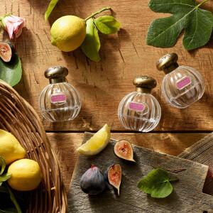 Tocca представили новый аромат Lucia, вдохновленный искусством медленной жизни