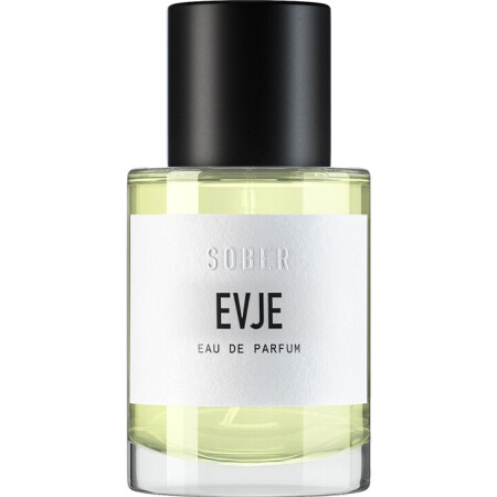 Sober Evje