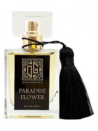 Osmogenes Paradise Flower / Райский цветок