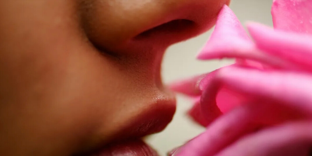 Givaudan представляет «революционное открытие» в исследовании обонятельных рецепторов