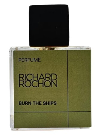 Richard Rochon Burn the Ships