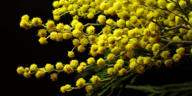 Будем как Солнце: L’Artisan Parfumeur выпустили Soleil de Provence