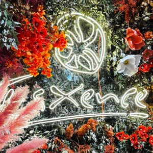 Месяц на Aromo: премьеры Esxence, люксовые запуски и новые парфюмерные коллаборации