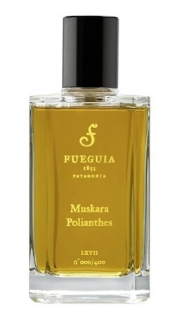 Fueguia 1833 Muskara Polianthes