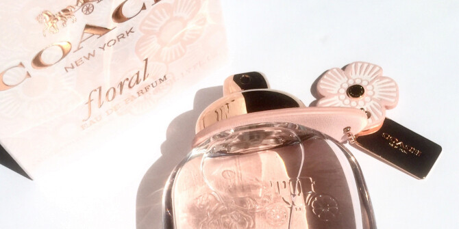 Новое за неделю: полевые цветы и чайная церемония