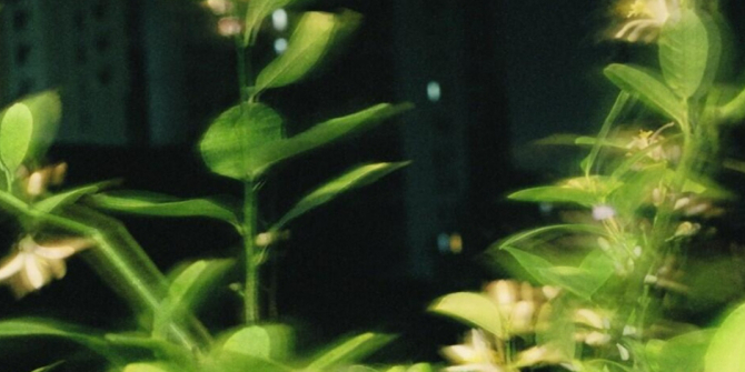 Byredo расширяют коллекцию эксклюзивов ароматом 00:00, вдохновлённым ночными огнями города