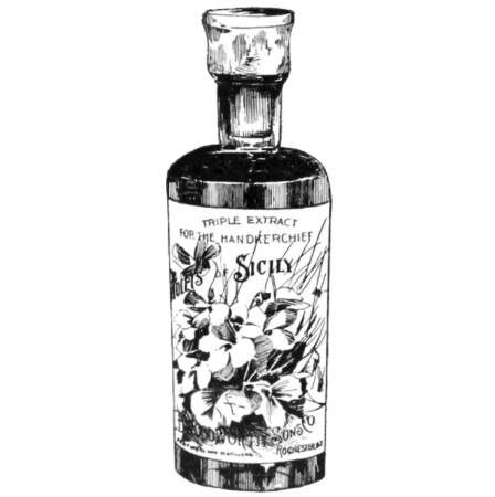 C. B. Woodworth & Sons Co. Rose of Sicily