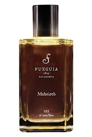 Fueguia 1833 Msheireb