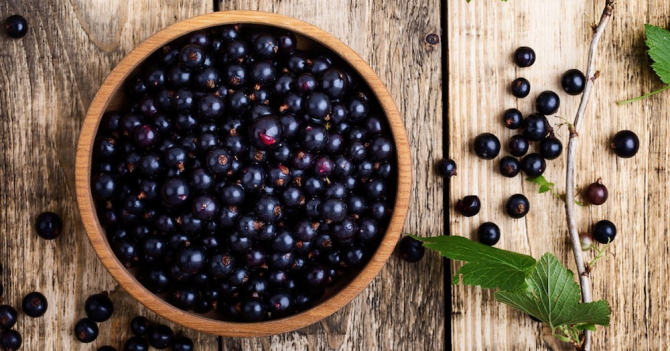«Я люблю Россию за запах чёрной смородины»: 7 ягодных ароматов