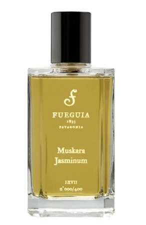 Fueguia 1833 Muskara Jasminum