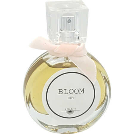 K Van Dyck Bloom