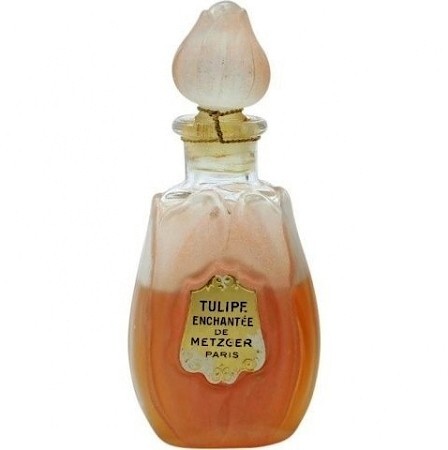 Metzger Tulipe Enchantée