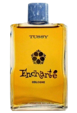 Tussy Enchanté