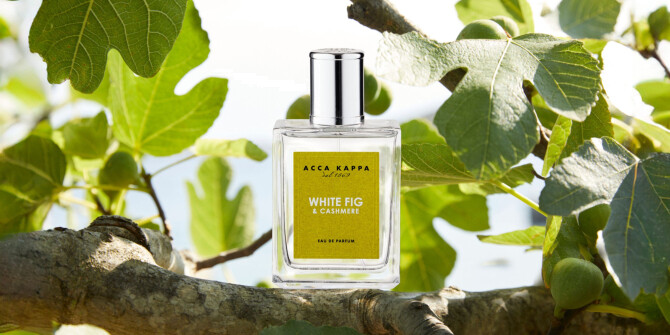 Атмосфера жаркого итальянского лета в новом аромате White Fig & Cashmere от Acca Kappa