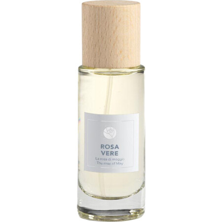 Rosae Virtus Rosa Vere
