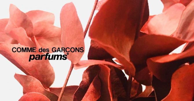 Comme des Garçons анонсировали запуск Rouge