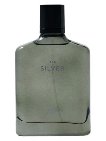 Zara Man Silver 2026
