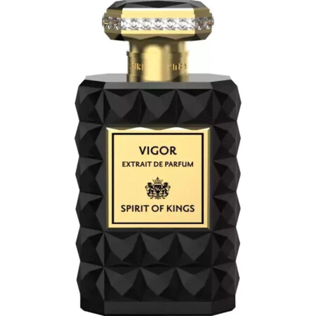 Spirit Of Kings Vigor