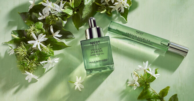 Получение эфирного масла жасмина