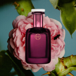 Красота с изъяном: новый аромат Rose With Insect от Perfumer H