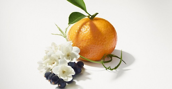 Le Jour se Lève — волшебство рассвета в новом аромате Louis Vuitton