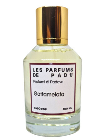 Padù Gattamelata