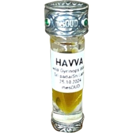 mesOUD Havva