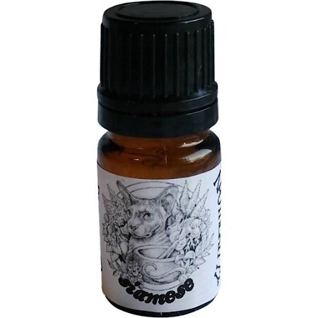 Smashing Apothekitty Siamese