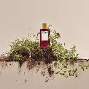 Дрожь земли: Earth от Loewe с нотой трюфеля — и не только