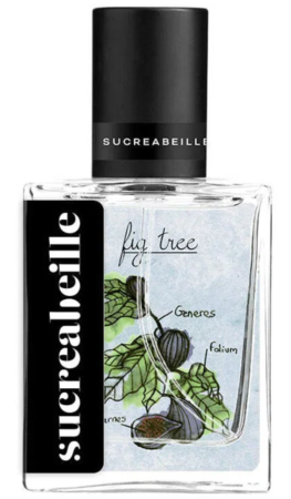 Sucreabeille Fig Tree