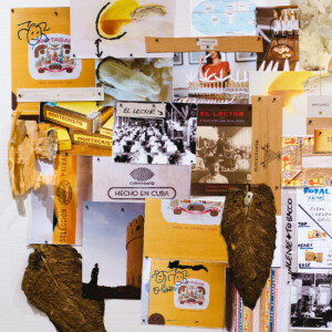 Amouage представляет новый аромат — Royal Tobacco